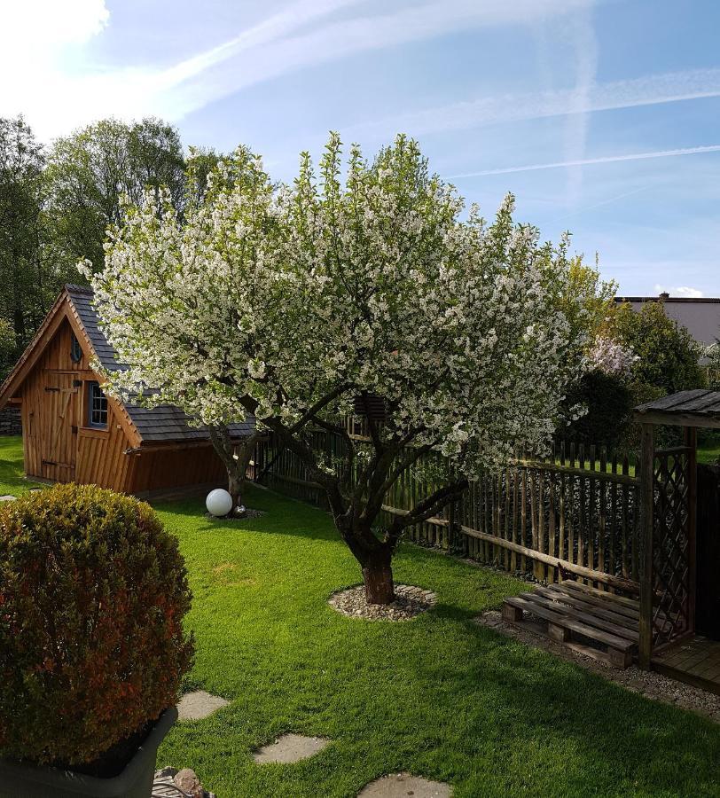 Haus Ilsegarten Ilsenburg Buitenkant foto