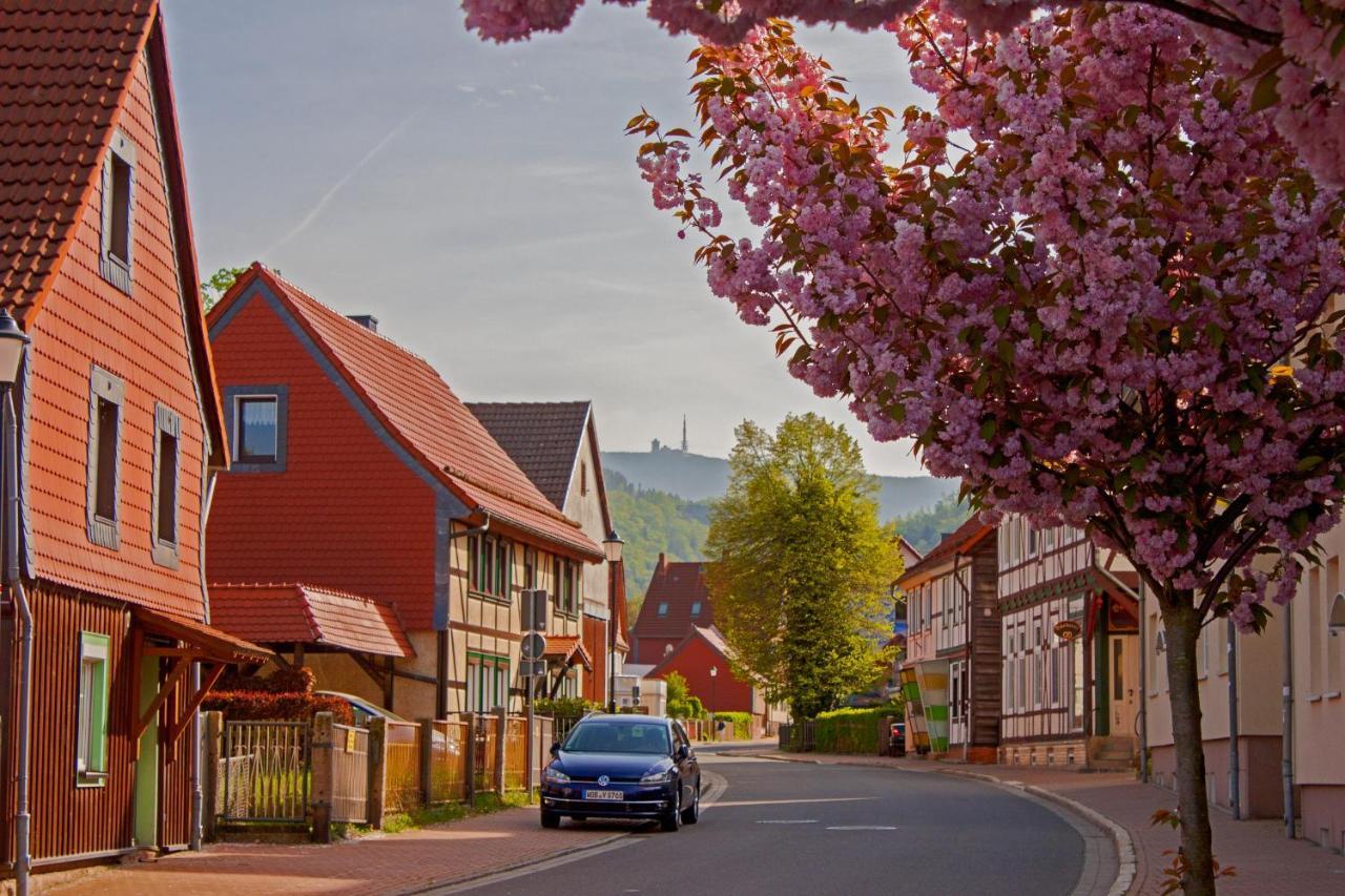 Haus Ilsegarten Ilsenburg Buitenkant foto